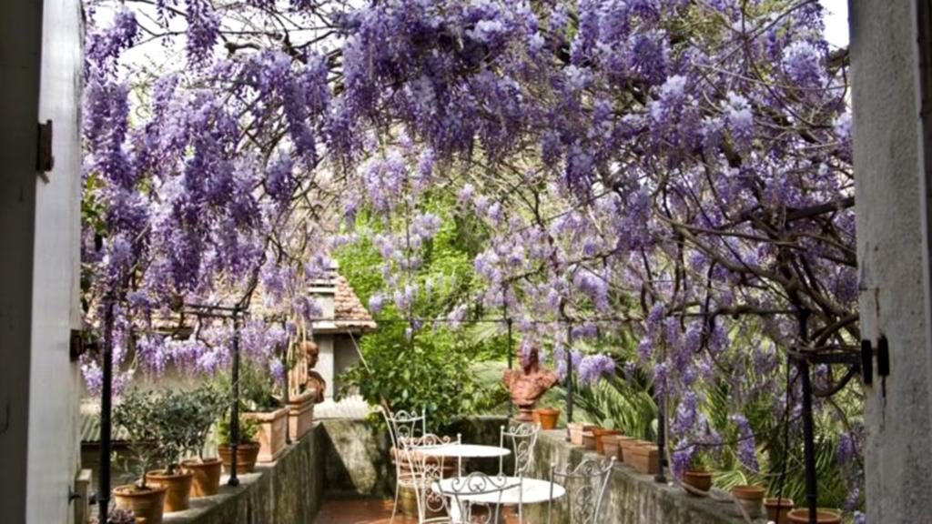 Locanda Sant' Agostino Lucca Kültér fotó